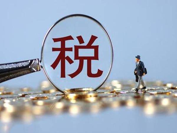 一般稅務籌劃(申請一般納稅人稅務下來看場地主要看什么)