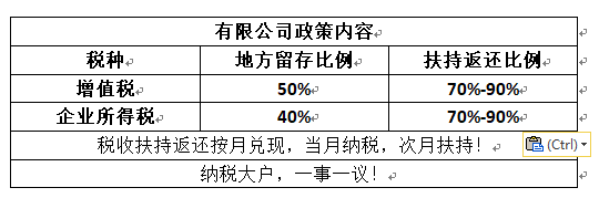 企業(yè)稅收籌劃(企業(yè)納稅實(shí)務(wù)與稅收籌劃全攻略)(圖5)