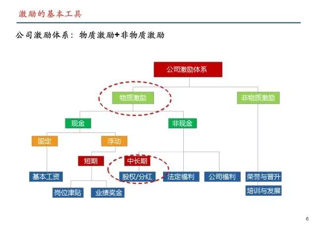 非上市公司股權(quán)激勵(lì)(創(chuàng)業(yè)板上市股權(quán)激勵(lì))