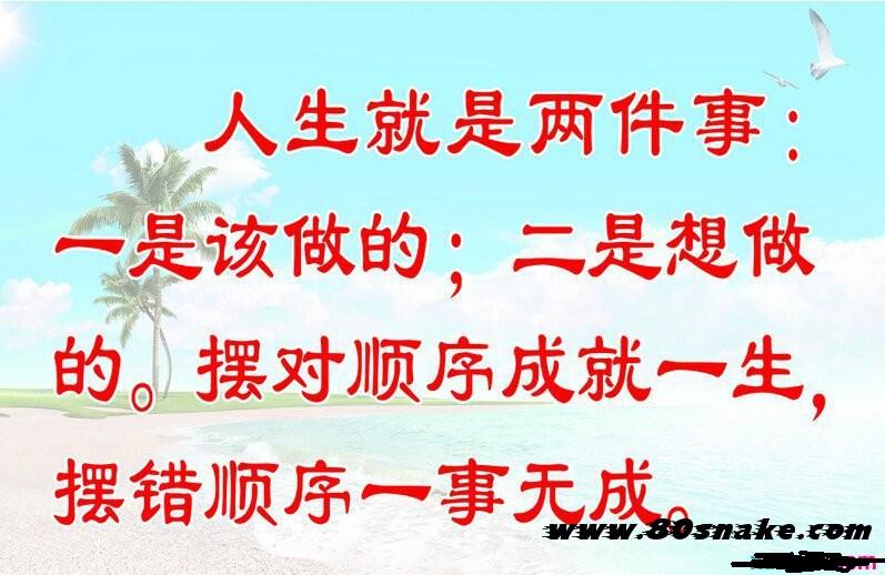 境外上市和境內(nèi)上市的區(qū)別(中華人民共和國境外非政府組織境內(nèi)活動管理法)(圖3)