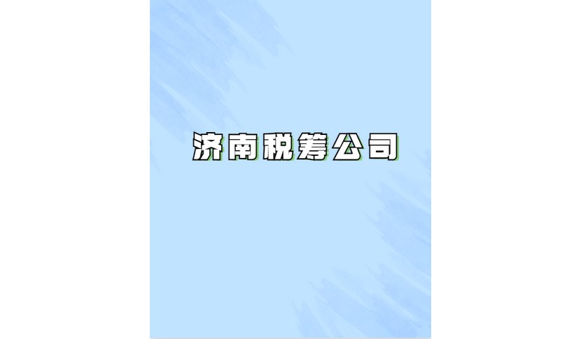 山東省泰山市電商公司稅務(wù)籌劃網(wǎng)上服務(wù)平臺(tái)