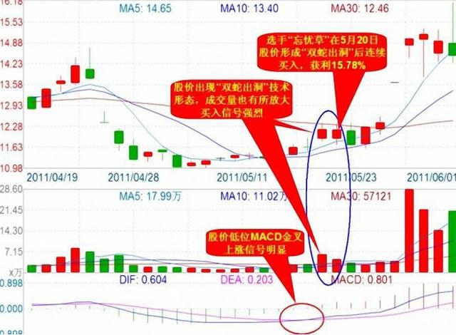 1萬炒股一年最多掙多少