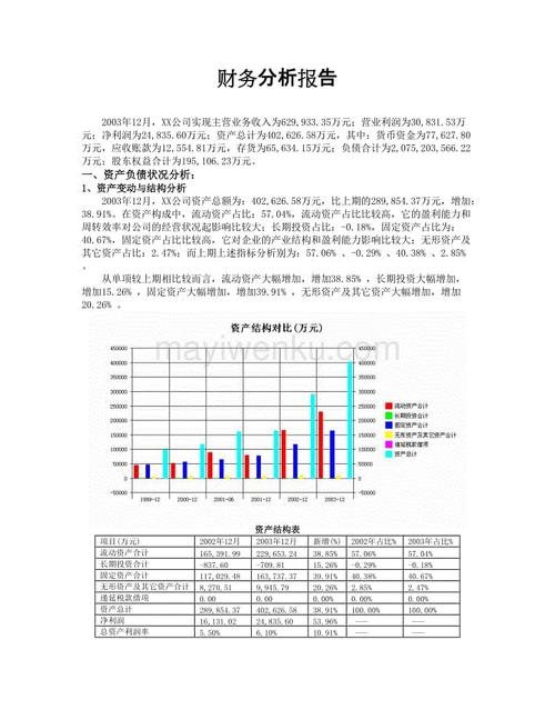 財務(wù)分析報告怎么寫