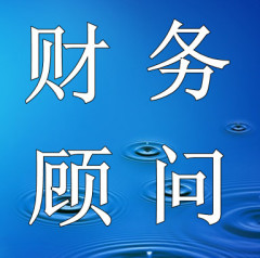 常年財務(wù)顧問資料