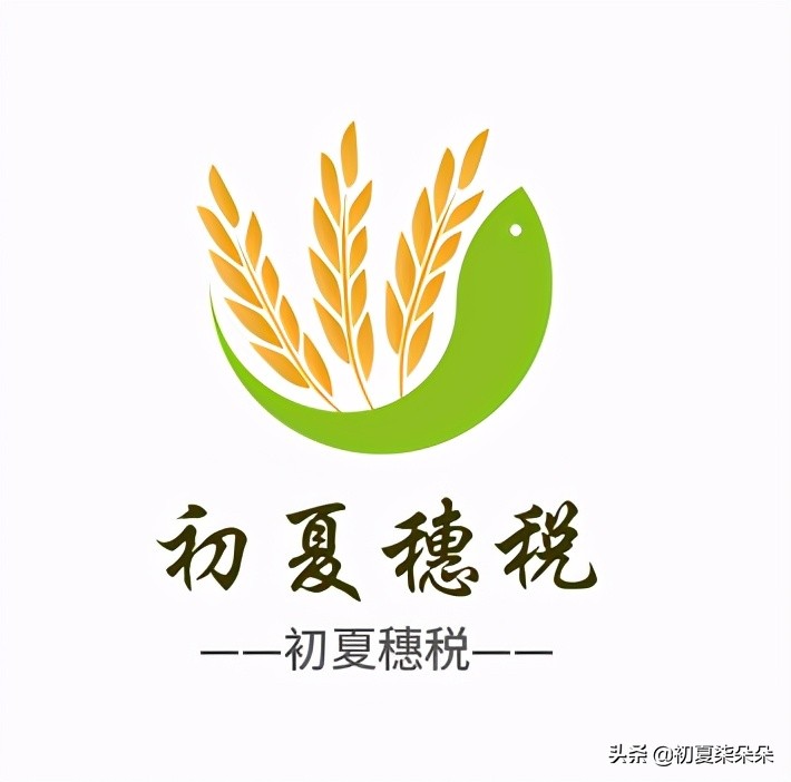 有限公司有哪些稅務(wù)籌劃方案