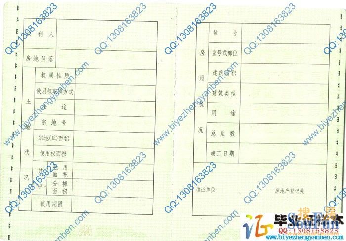 財(cái)稅網(wǎng)?上海(上海注冊公司代理財(cái)稅記賬)